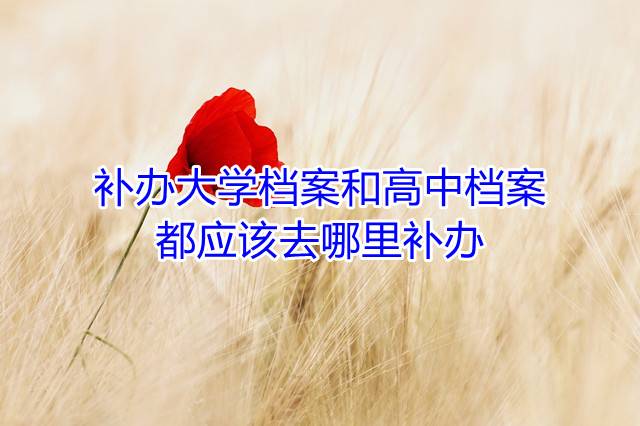 补办大学档案和高中档案都应该去哪里补办