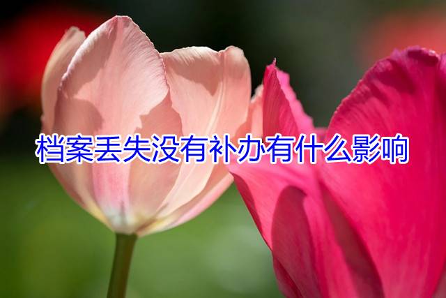 档案丢失没有补办有什么影响