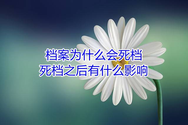 档案为什么会死档，死档之后有什么影响