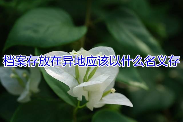 档案存放在异地应该以什么名义存