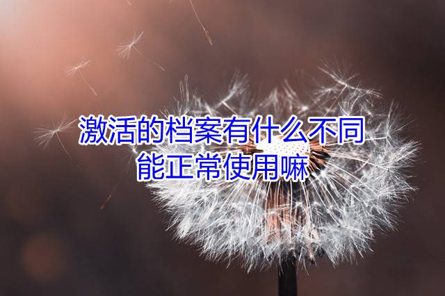 激活的档案有什么不同，能正常使用嘛