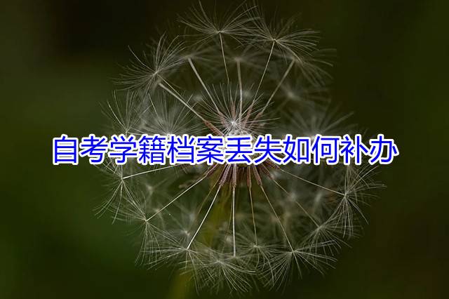 自考学籍档案丢失如何补办