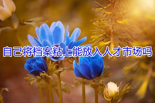 自己将档案粘上能放入人才市场吗