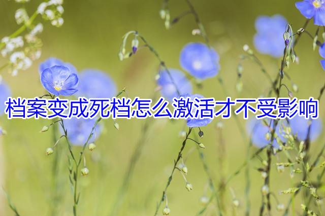 档案变成死档怎么激活才不受影响