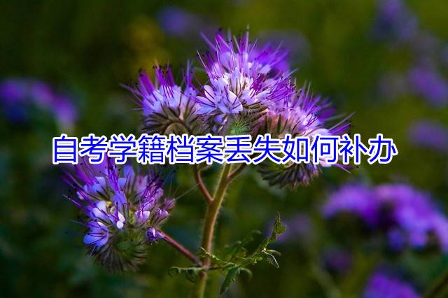 自考学籍档案丢失如何补办