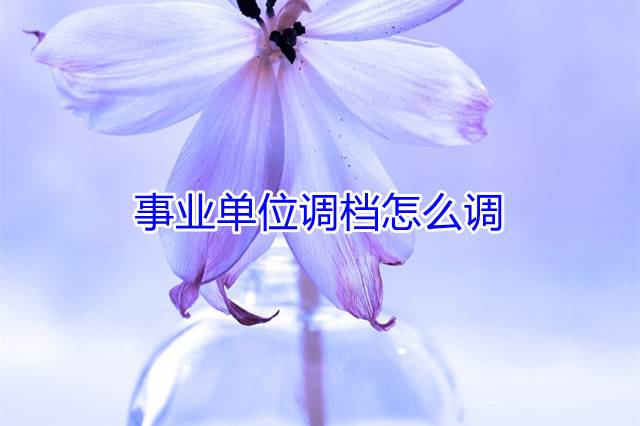 事业单位调档怎么调