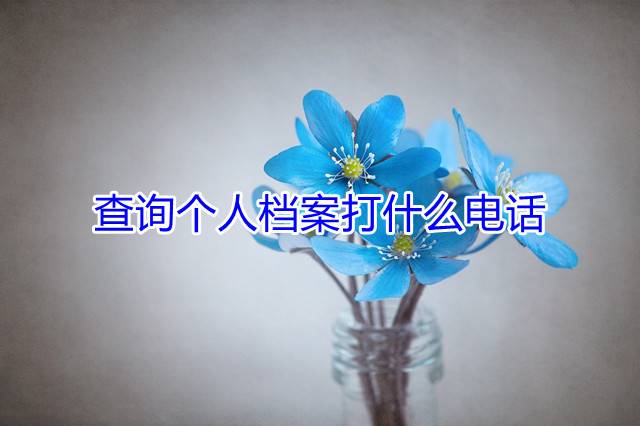 查询个人档案打什么电话