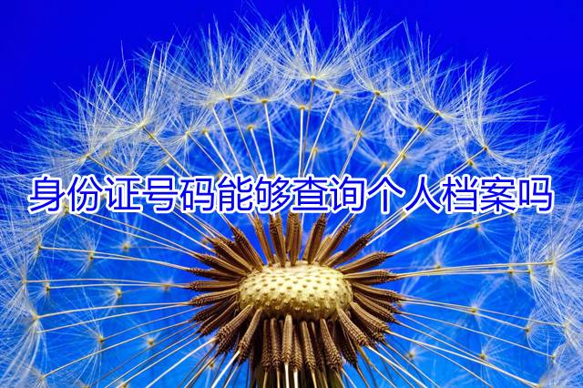 身份证号码能够查询个人档案吗