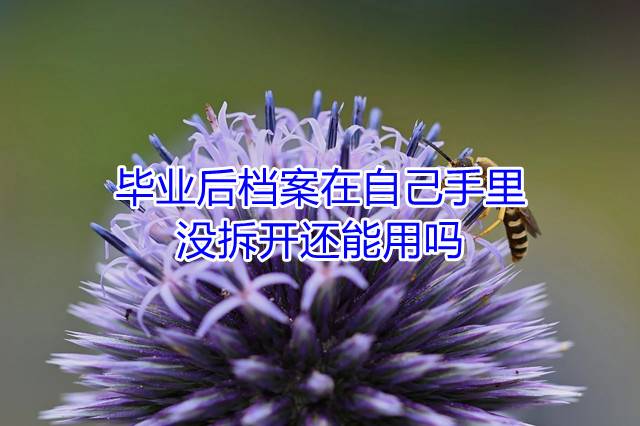 毕业后档案在自己手里没拆开还能用吗