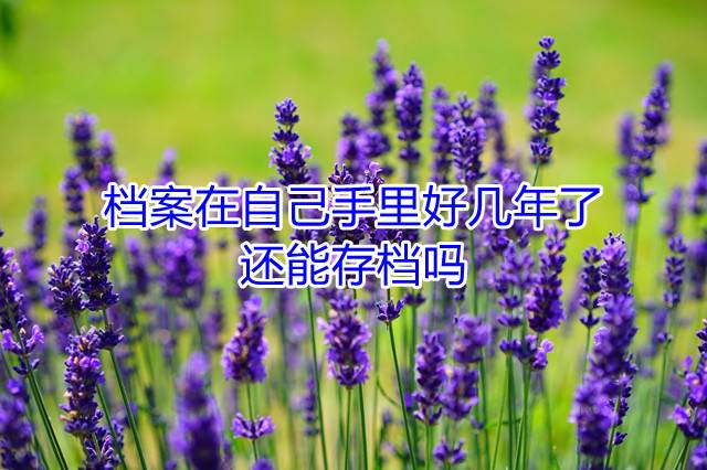 档案在自己手里好几年了还能存档吗