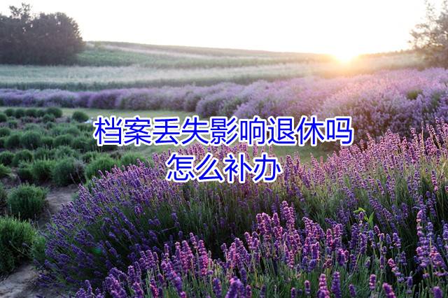 档案丢失影响退休吗，怎么补办