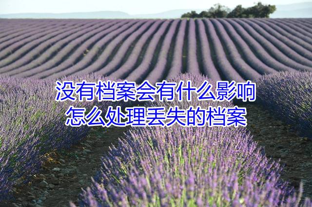 没有档案会有什么影响，怎么处理丢失的档案