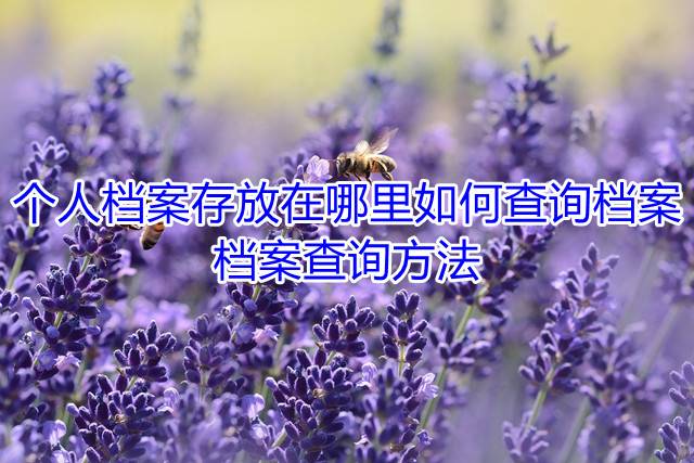 个人档案存放在哪里如何查询档案，档案查询方法
