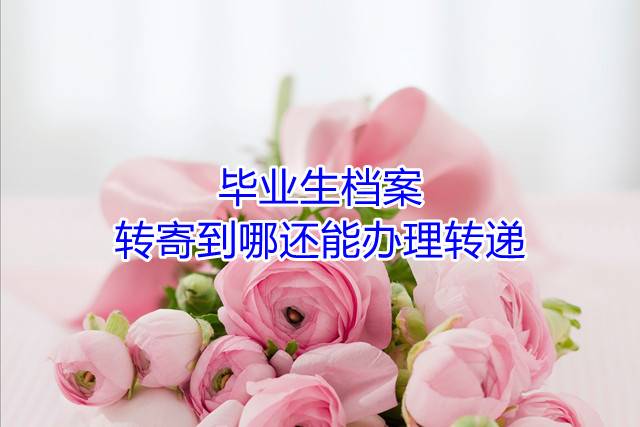 毕业生档案转寄到哪还能办理转递