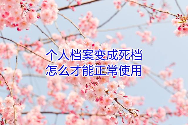 个人档案变成死档，怎么才能正常使用