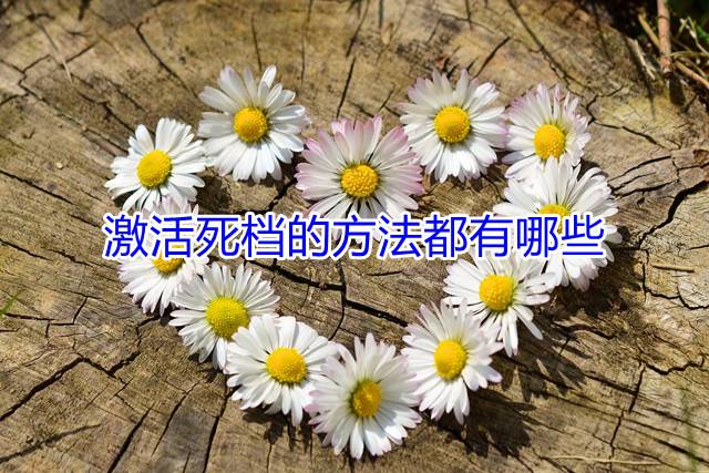 激活死档的方法都有哪些