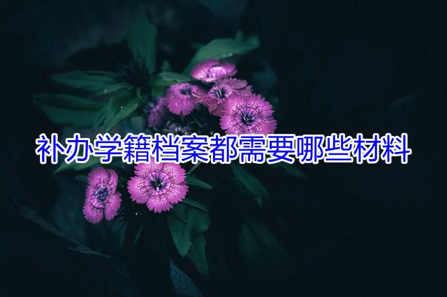 补办学籍档案都需要哪些材料