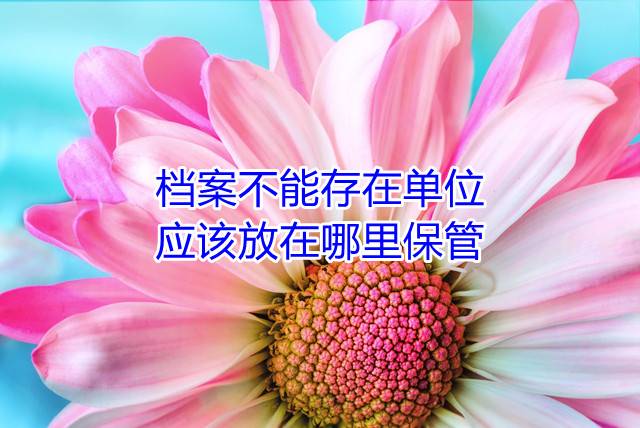 档案不能存在单位，应该放在哪里保管