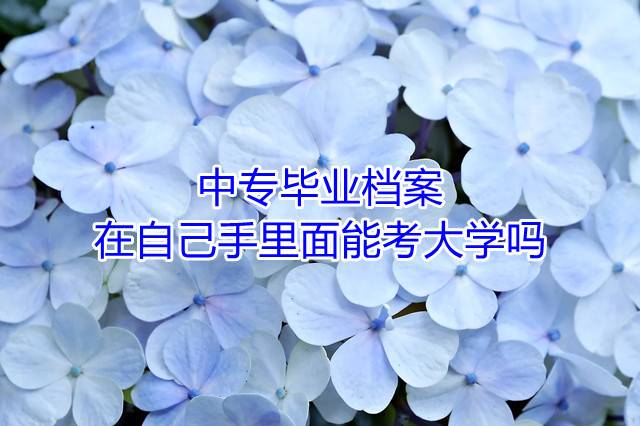 中专毕业档案在自己手里面能考大学吗
