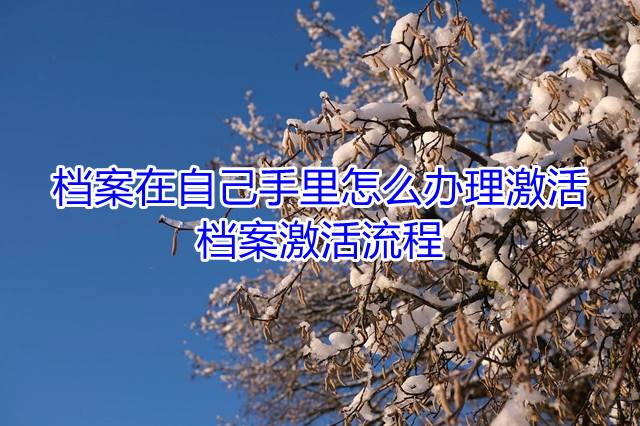 档案在自己手里怎么办理激活，档案激活流程
