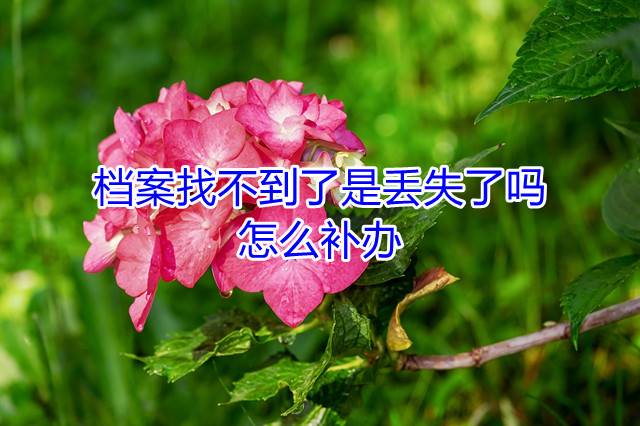 档案找不到了是丢失了吗，怎么补办