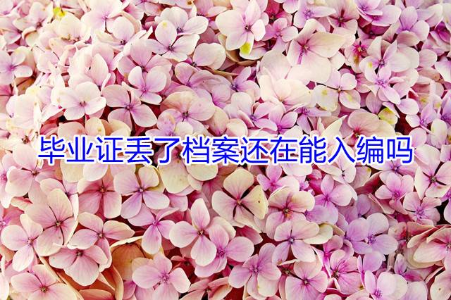 毕业证丢了档案还在能入编吗
