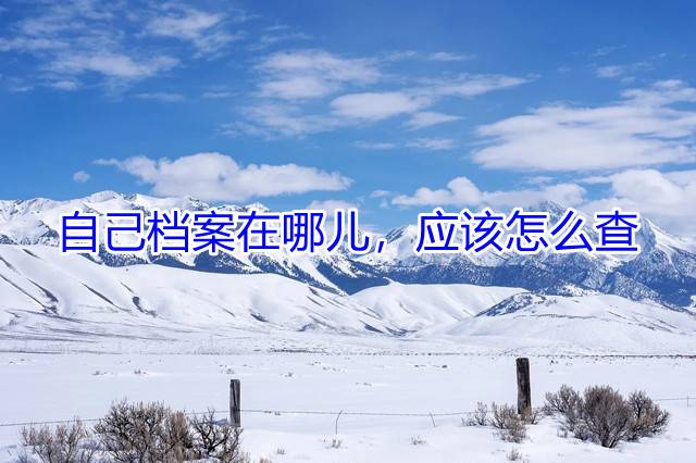 自己档案在哪儿，应该怎么查