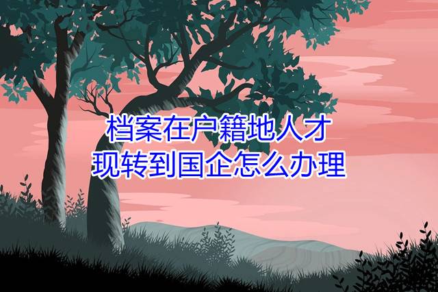 档案在户籍地人才现转到国企怎么办理