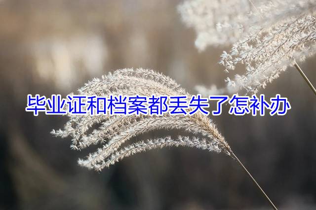 毕业证和档案都丢失了怎补办