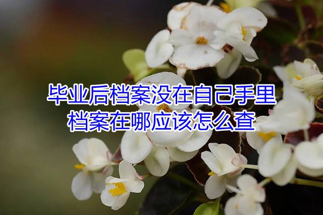 毕业后档案没在自己手里，档案在哪应该怎么查