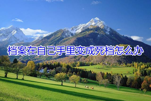 档案在自己手里变成死档怎么办