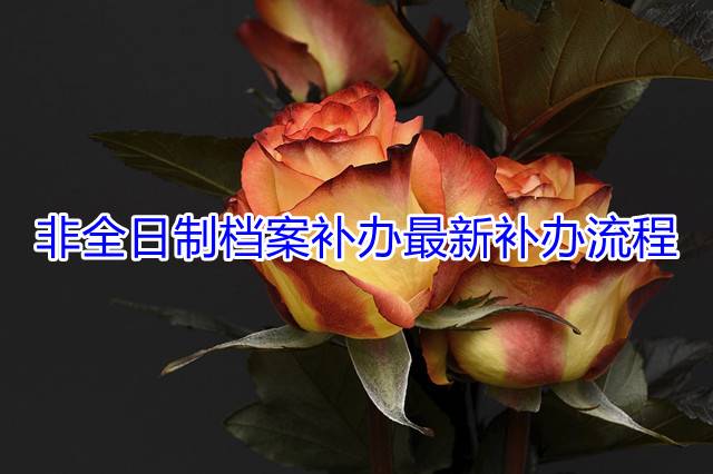 非全日制档案补办最新补办流程