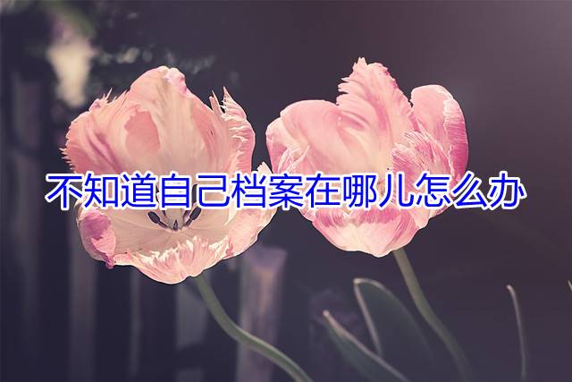 不知道自己档案在哪儿怎么办