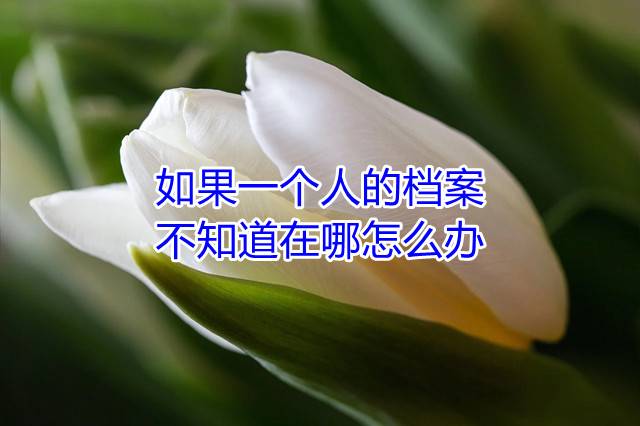 如果一个人的档案不知道在哪怎么办