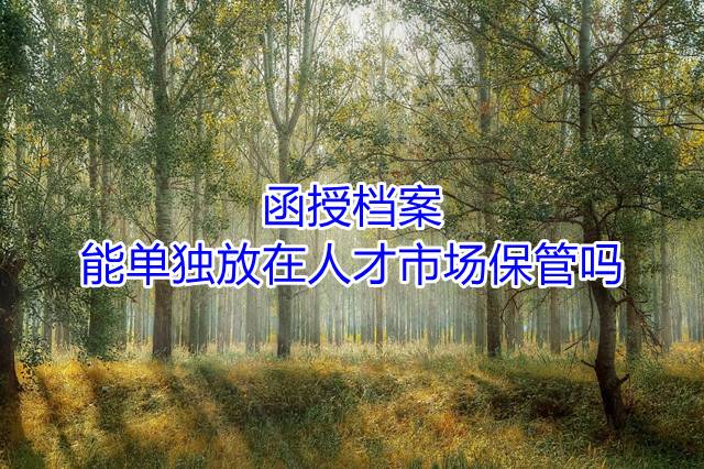 函授档案能单独放在人才市场保管吗