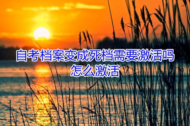 自考档案变成死档需要激活吗，怎么激活