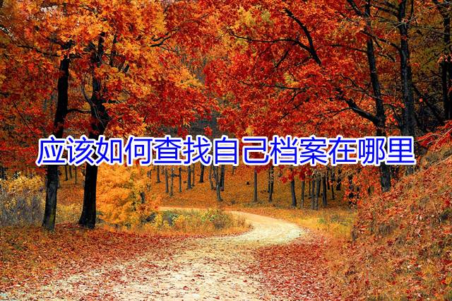 应该如何查找自己档案在哪里