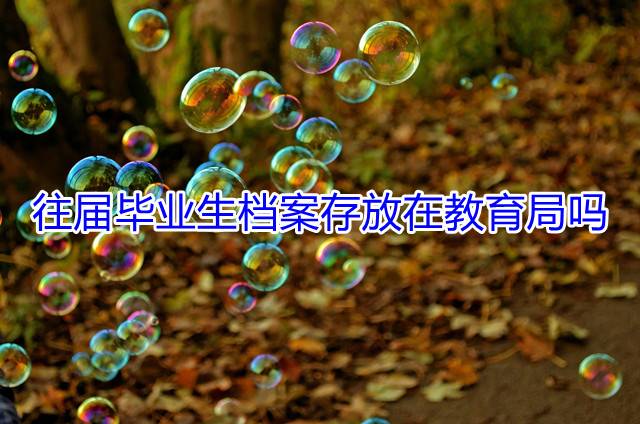 往届毕业生档案存放在教育局吗