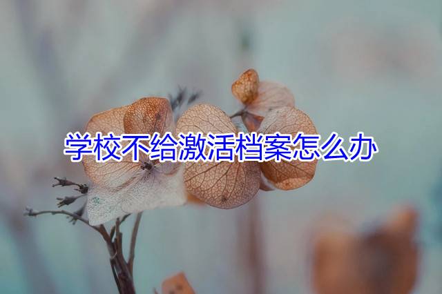 学校不给激活档案怎么办