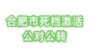 合肥市死档激活需要什么手续，公对公转是什么意思