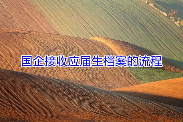 国企接收应届生档案的流程