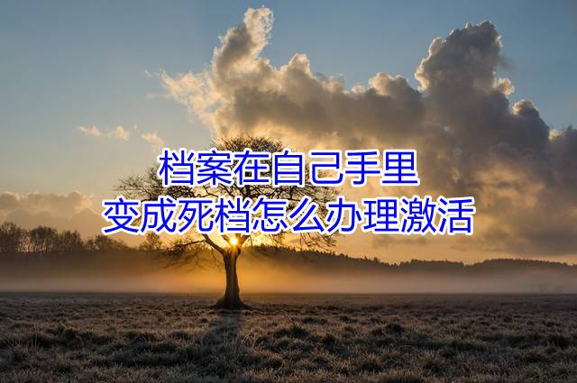 档案在自己手里变成死档怎么办理激活