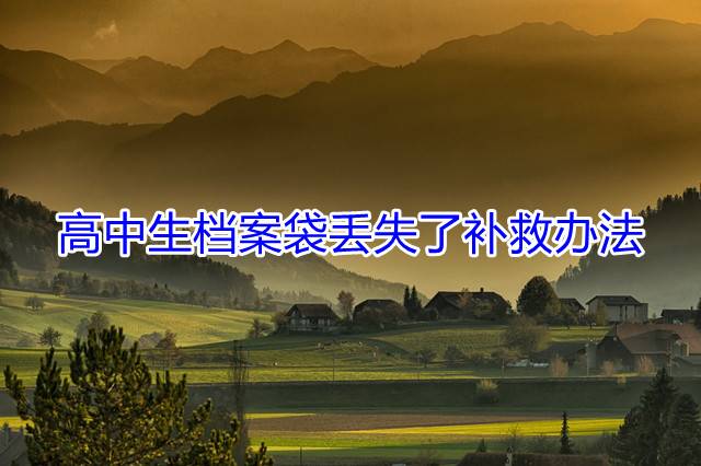 高中生档案袋丢失了补救办法