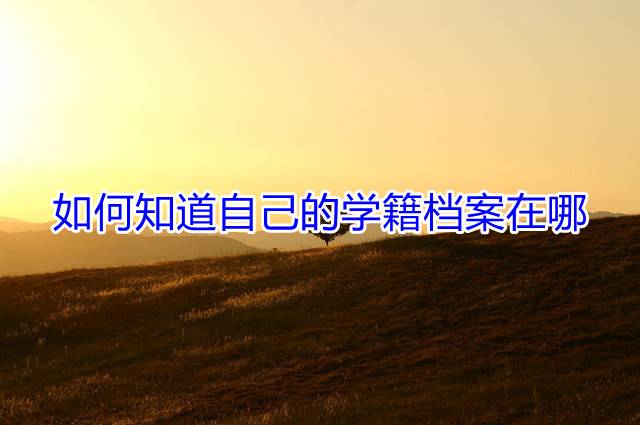 如何知道自己的学籍档案在哪