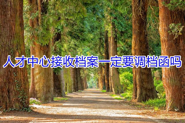 人才中心接收档案一定要调档函吗