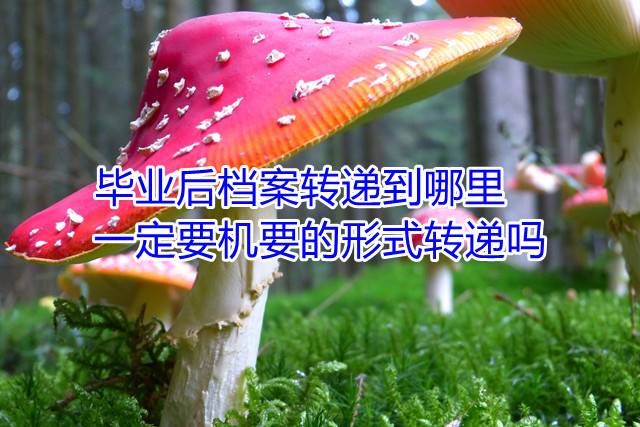 毕业后档案转递到哪里，一定要机要的形式转递吗