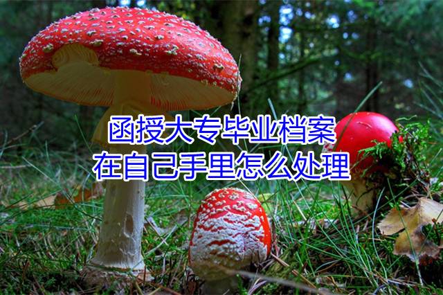 函授大专毕业档案在自己手里怎么处理