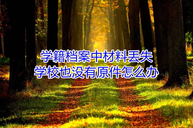 学籍档案中材料丢失，学校也没有原件怎么办