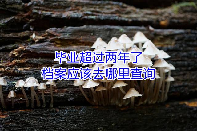 毕业超过两年了档案应该去哪里查询