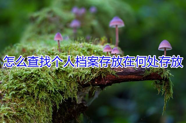 怎么查找个人档案存放在何处存放
